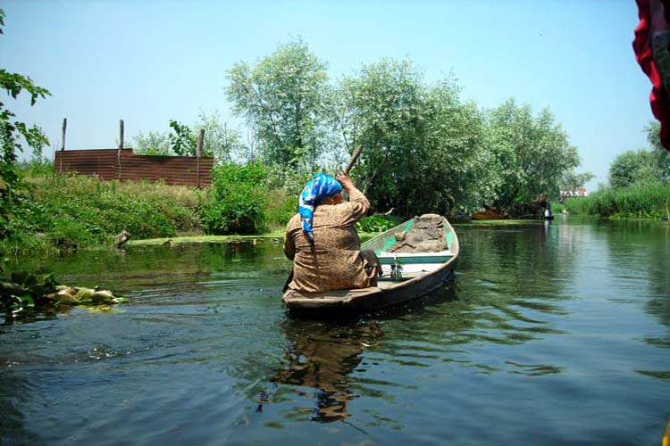 Fifth Image